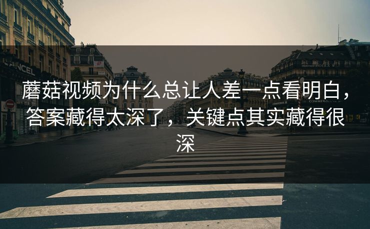 蘑菇视频为什么总让人差一点看明白，答案藏得太深了，关键点其实藏得很深
