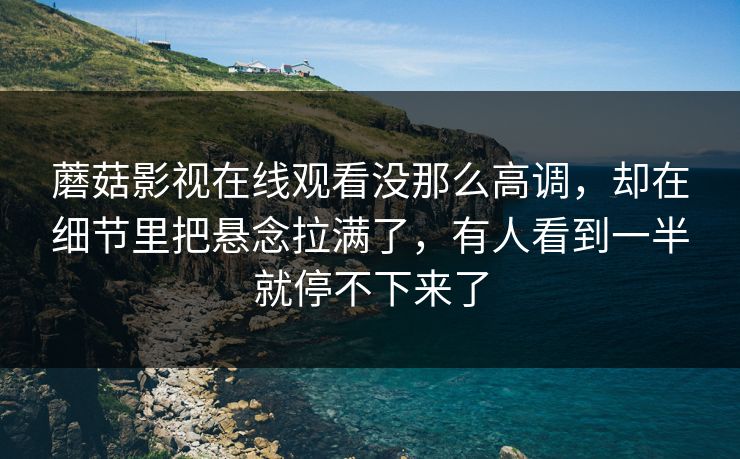 蘑菇影视在线观看没那么高调，却在细节里把悬念拉满了，有人看到一半就停不下来了