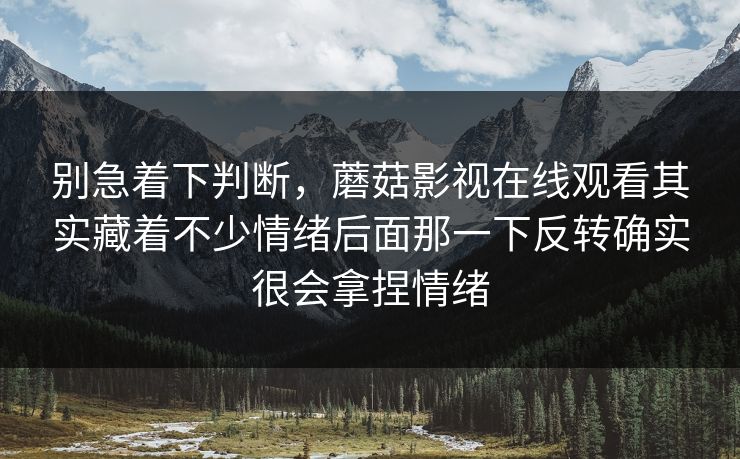 别急着下判断，蘑菇影视在线观看其实藏着不少情绪后面那一下反转确实很会拿捏情绪