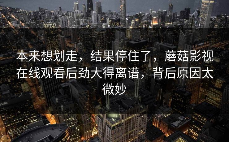 本来想划走,结果停住了,蘑菇影视在线观看后劲大得离谱,背后原因太微妙 本来想划走,结果停住了,蘑菇影视在线观看后劲大得离谱,背后原因太微妙