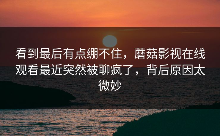看到最后有点绷不住,蘑菇影视在线观看最近突然被聊疯了,背后原因太微妙 看到最后有点绷不住,蘑菇影视在线观看最近突然被聊疯了,背后原因太微妙